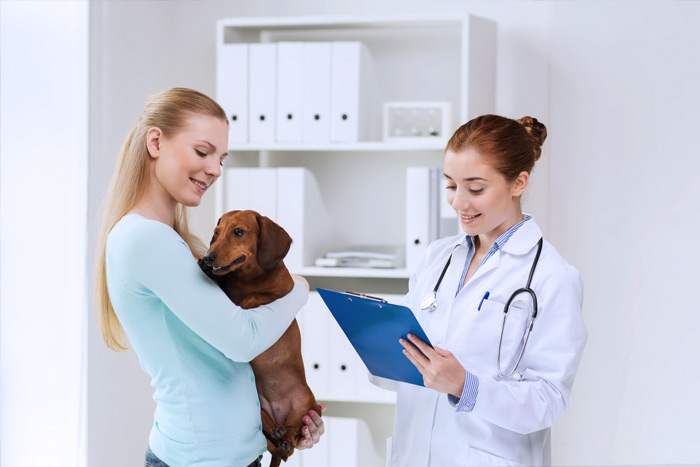 ЭЦП для оформления ветеринарных сертификатов (ГИС Меркурий) в Мелеузе